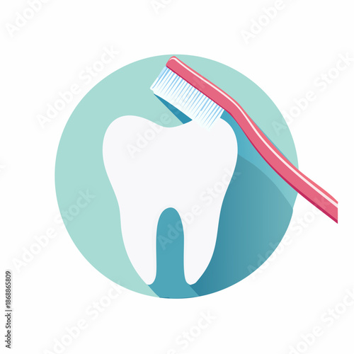 正しい歯磨き説明用歯と歯ブラシベクター