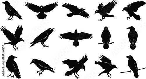 Comprehensive Set of Crow and Raven Silhouettes Including Flying and Perched Birds Isolated on White Background for Creative Nature Vector Projects