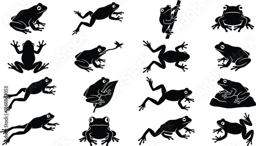 Set of frog and toad silhouettes in various poses like jumping, sitting, and climbing, ideal for nature wildlife graphics and vector icons.