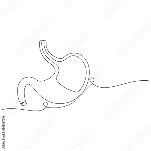 Human stomach anatomy one line drawing continuous gastrointestinal vector illustration