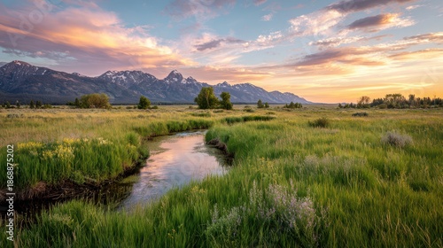 Pastel skies above a lush meadow with a stream by historic Mormon Row in Grand Teton