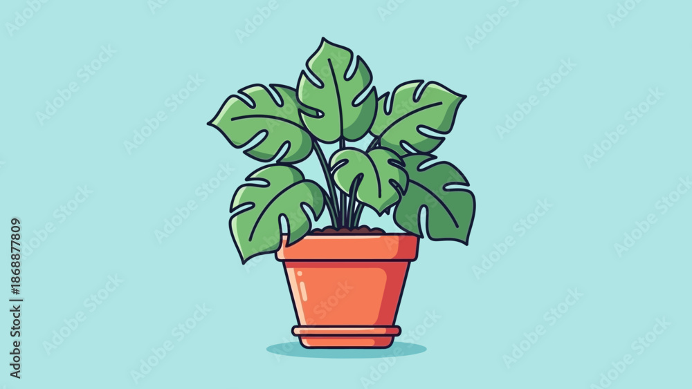 Fototapeta premium Vibrant Monstera Deliciosa Plant in a Terracotta Pot.
