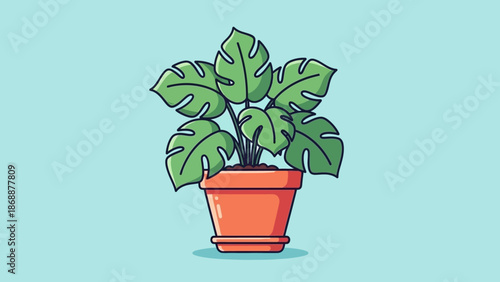Vibrant Monstera Deliciosa Plant in a Terracotta Pot.