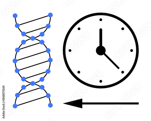 DNA concept. DNA alongside a clock and arrow symbol s the relationship between genetics, time, and the aging process. DNA research, evolution, health studies. Uses include biotechnology, genetics