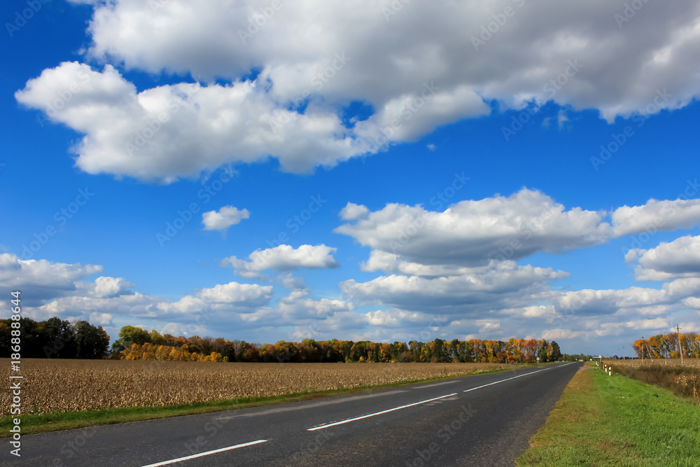Obraz premium Country highway through golden fields and autumn forest, under dramatic cumulus clouds. Perfect for landscape, transportation, adventure, freedom, and outdoor exploration.