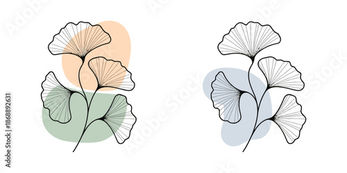 A minimalist illustration of ginkgo biloba leaves in a simple line art style with pastel colors