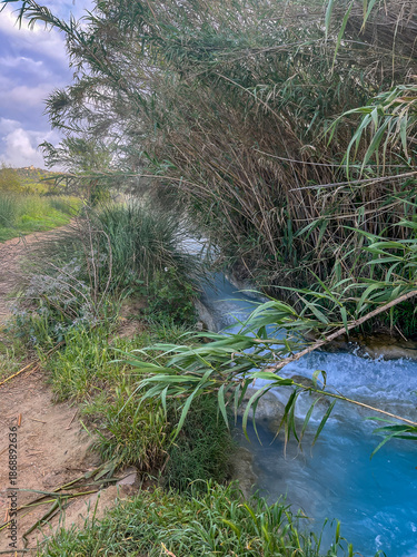 Turquoise thermal water stream flowing through lush green reeds and tall grass in a natural park.