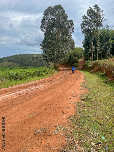 A person riding a motorcycle carrying blue crates on a winding red dirt road lined with tall eucalyptus trees in Rwanda.
