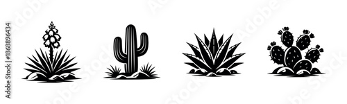 Cactus vector icons set. desert plants, succulents, nature symbols