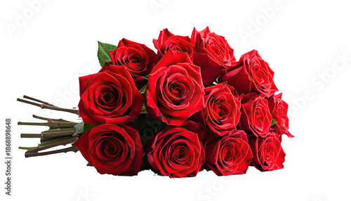 A vibrant, close-up shot of a dozen lush, red blossoms tied together on a stark black background