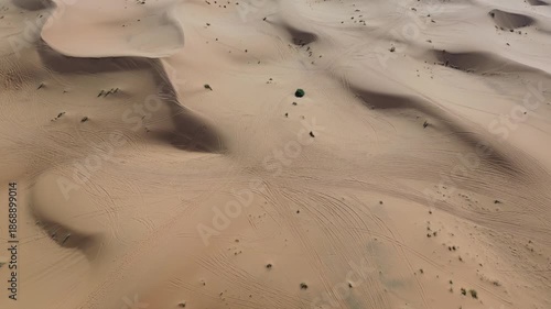 Sahara Desert Sand Dunes Erg Chebbi Merzouga Morocco Africa Camels Animal Caravan Vast Arid Landscape Nature Running Trail Endurance Sports Warm Outdoor Activities Adventure Travel Scenic Wilderness