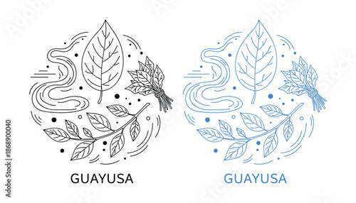 Guayusa plant leaves design collection for tea and energy drink beverage product outline illustration