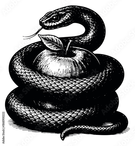 Hand drawn line art illustration of a serpent and an apple depicting temptation for conceptual designs