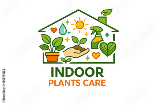 Indoor plant care: essential tips for healthy houseplants