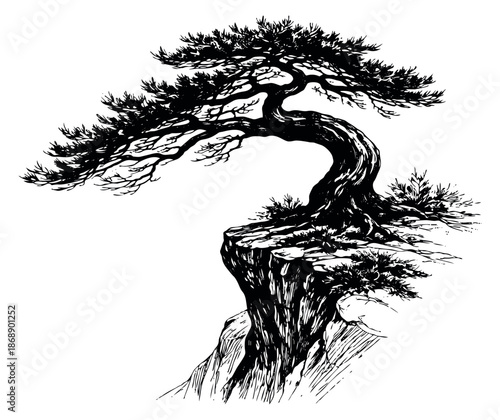 Hand drawn line art illustration of a bonsai pine tree on a cliff depicting strong growth and natural beauty for nature-themed designs