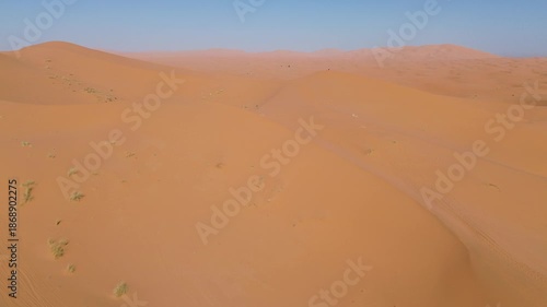 Sahara Desert Sand Dunes Erg Chebbi Merzouga Morocco Africa Camels Animal Caravan Vast Arid Landscape Nature Running Trail Endurance Sports Warm Outdoor Activities Adventure Travel Scenic Wilderness
