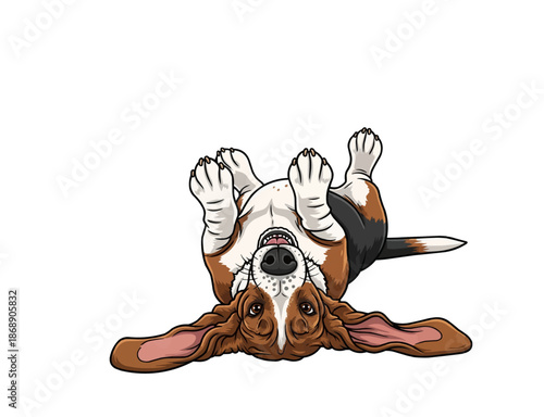 Funny Basset Hound Dog Upside Down Playful Vector
