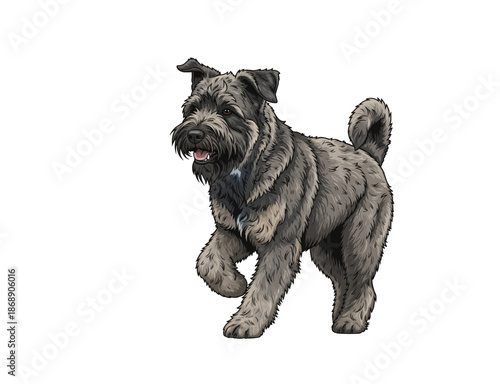 Scruffy Black Schnauzer Dog Walking Vector Illustration