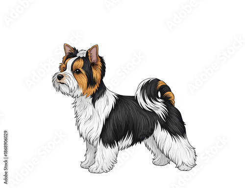 Cute Biewer Terrier Dog Standing Vector Illustration