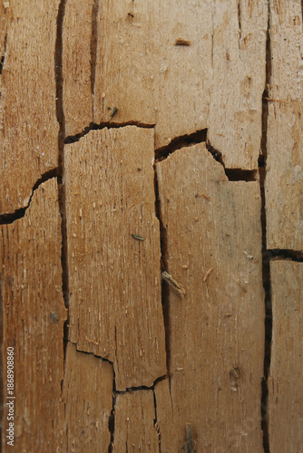 texture background of cracked wooden plank with lights and shadows