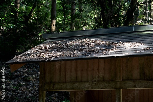 山の中にある小屋の屋根に積もる落ち葉