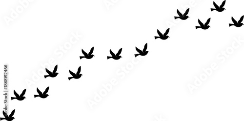 A minimalist black silhouette of a flock of birds in flight