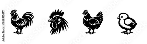 Farm birds vector icons set: chickens, roosters, chicks, barnyard animals