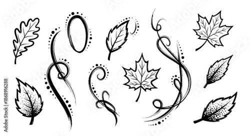 Elegant Autumnal Leaves and Swirls - A Hand-Drawn Botanical Collection.