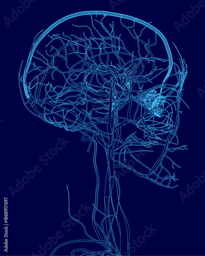 A detailed blue illustration of the human brain highlights its intricate circulatory system and complex network of veins. The artistic rendering uses fine lines and organic shapes on a solid.