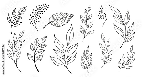 Photos Hand Drawn Botanical Elements Collection with Various Leaves and Branches