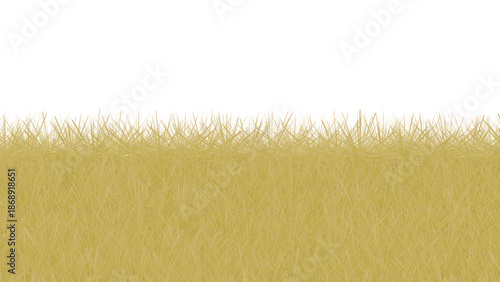 Abstract dry grass texture border painted by hand with rough brush strokes in transparent background isolated