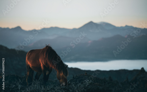 Early Morning In Sierra Del Sueve And A Semi-Wild Horse