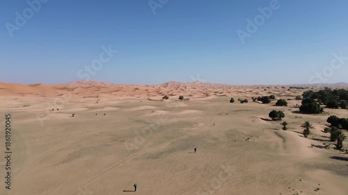 Sahara Desert Sand Dunes Erg Chebbi Merzouga Morocco Africa Camels Animal Caravan Vast Arid Landscape Nature Running Trail Endurance Sports Warm Outdoor Activities Adventure Travel Scenic Wilderness