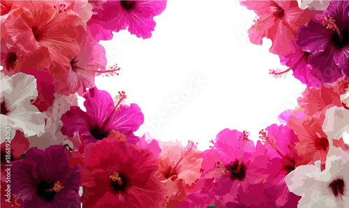 Borda floral vibrante de hibiscos cor-de-rosa, vermelhos e brancos, com espaço transparente central para texto, ideal para convites e designs de primavera/verão.