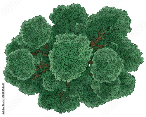 Renderização 3D de árvore com copa verde exuberante, vista superior e fundo transparente, essencial para projetos de design e maquetes.