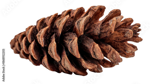 Brown pinecone showing natural texture, forest seed, and organic pattern with transparent background