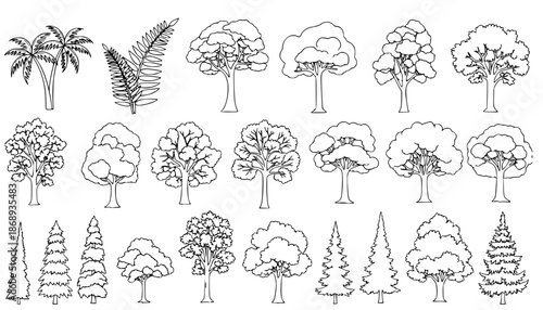 
silhouette tree line drawing set, Side view, set of graphics trees elements outline symbol for architecture and landscape design drawing. Vector illustration in stroke fill in white. Tropical