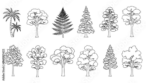 
silhouette tree line drawing set, Side view, set of graphics trees elements outline symbol for architecture and landscape design drawing. Vector illustration in stroke fill in white. Tropical