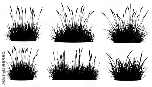 set of bush grass shrub herb silhouette vector transparent background eps 10
