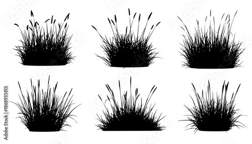 set of bush grass shrub herb silhouette vector transparent background eps 10
