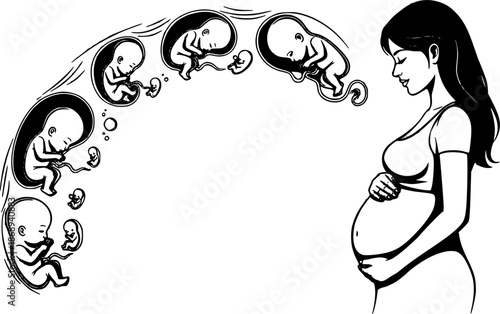 An illustration of a pregnant woman surrounded by floating fetuses representing the various stages of fetal development
