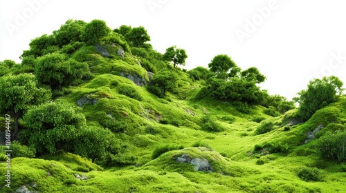 green landscape isolated on white background, nature, mountain, trees, sky, forest, background, hill, watercolor, scenery, morning, summer, travel, recreation, relax