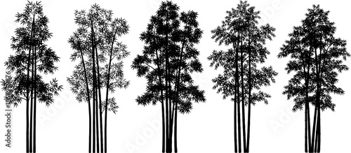 "Set of five black bamboo tree silhouettes on white background, isolated tropical plants, vertical nature illustration, minimalist vector design for decoration"