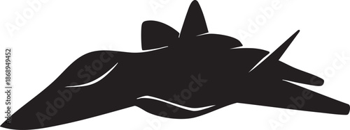 Sukhoi Su-57 Fifth Generation Stealth Fighter Jet Vector Illustration