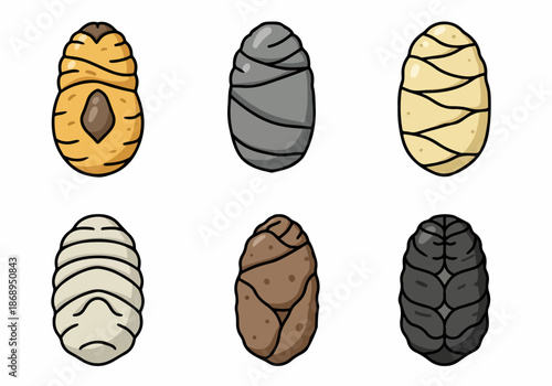 Vector Collection of Cartoon Insect Pupae and Cocoons in Various Shapes and Styles, Illustrating Life Cycle Stages.