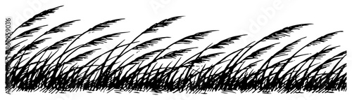 Field of tall grass and reeds blowing in the wind illustration
