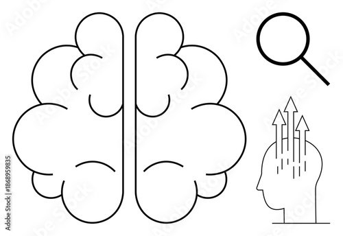 Brain concept. Brain illustration with magnifying glass and upward arrows analysis, growth, and innovation. Brain growth for creativity, research, ideas, productivity, and mental health