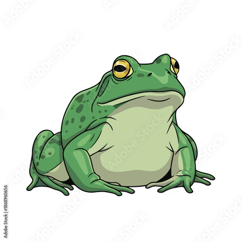 A cute green frog is a small wild amphibian animal with a macro eye isolated on a white background for a funny wildlife nature closeup