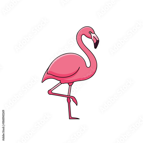 A cute pink flamingo vector illustration of an exotic tropical bird with a beautiful beak and feathers isolated on a white background for nature and wildlife designs