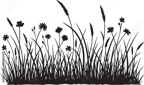 Black Silhouette of Wildflowers and Grass on White Background
